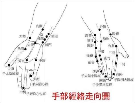 人身穴位圖|人體409個穴位詳解，附高清圖！功效講得很清楚了